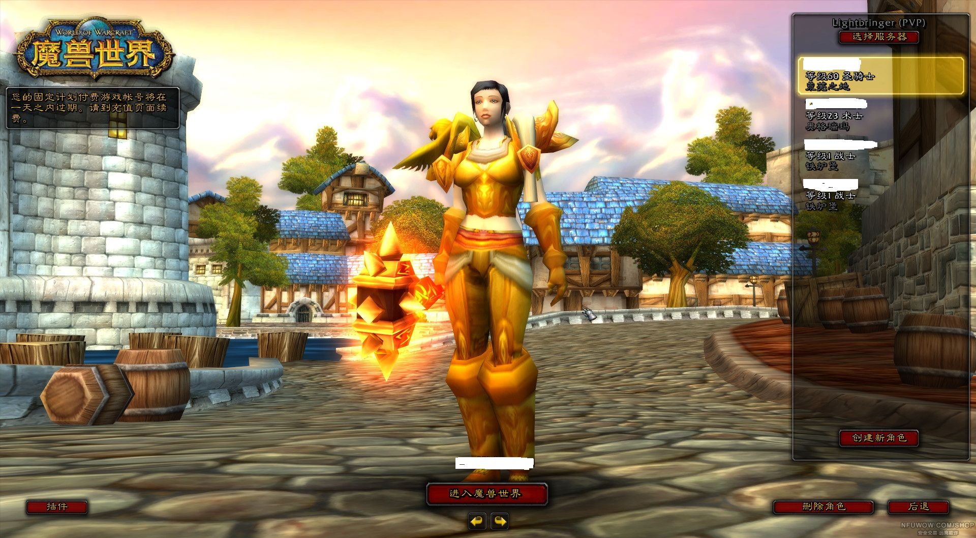 l服橙锤人类女圣骑士 t1 t2套 r10套,没时间玩了 脱坑.